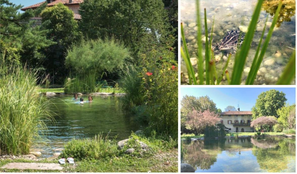 Lacasadiscorta Almè Exteriér fotografie